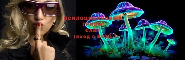 бошки Алексеевка
