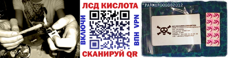 KRAKEN как войти  Грайворон  Марки N-bome 1,8мг 