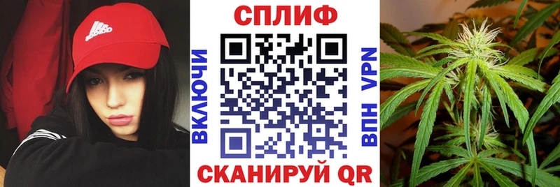 Шишки марихуана план  закладки  Грайворон 